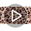 Leopard Print Office Chair Cover Set - 4 Pieces, Washable & Stretchable
