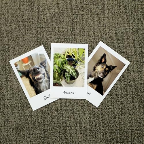 Custom Mini Retro Photo Prints with Captions - 1x1.5 Inch Wallet Size
