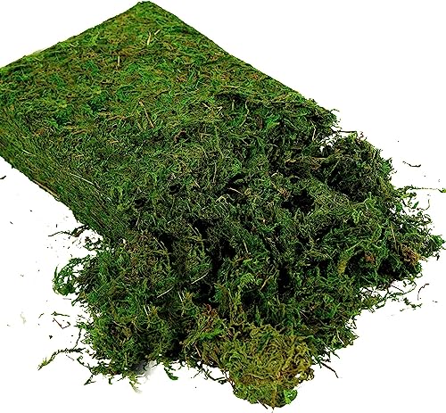 Artificial Decorative Moss, 16oz Faux Green Moss for Crafts and Terrariums