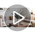 12-Piece Natural Dried Eucalyptus Stems (17 Inch) for Shower & Home Decor