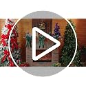 Lenwen 24 Pack Large Red Velvet Christmas Bows Tree Toppers Holiday Decorations