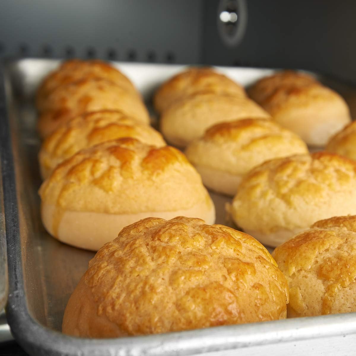 Wildone Stainless Steel Baking Sheet Set - Heavy Duty Non-Toxic Cookie Trays | 20 x 14 x 1 Inch
