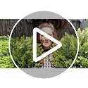 2-Pack Artificial Boxwood Topiary Bushes, 26-Inch UV-Resistant Fake Shrubs