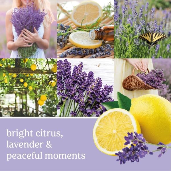 Lemon Lavender Concentrated Room Spray Air Freshener - 3 Pack