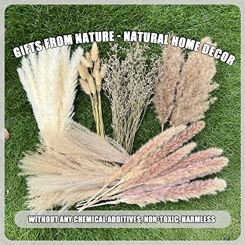 100 Pcs Natural Dried Pampas Grass & Bunny Tails Set - 17 Inch Boho Decor
