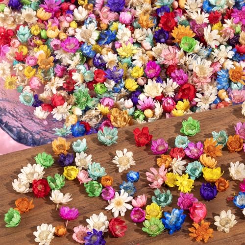 300 PCS Mini Dried Flowers for Resin Jewelry, Soap, and Candle Making