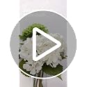 21-Inch Real Touch White Artificial Hydrangea Flowers with Stems, 5 Pack