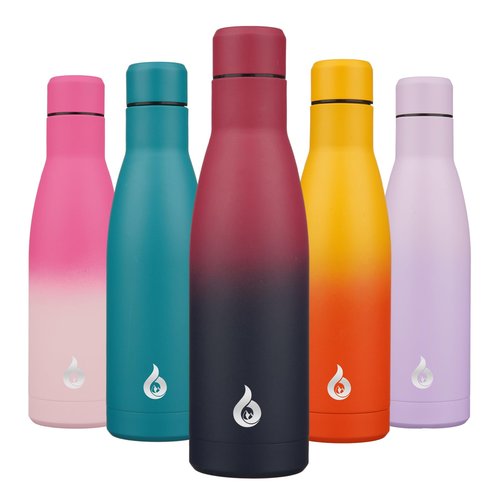 BJPKPK Insulated Water Bottle 17oz Stainless Steel Water Bottles Diashwasher Safe Reusable Metal Thermal Keep Cold and Hot,Charming Black Red