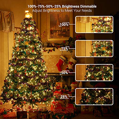 Brizled 300 LED 115 ft Color Changing Christmas String Lights - Warm White & Multicolor, End-to-End Connectable