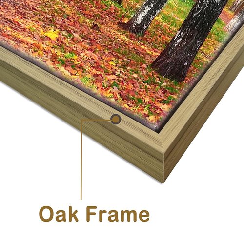 autumn forest canvas wall art: fall forest picture Golden woods landscape artwork wall decor - nature tree pictures with pathway prints for living room 45"x30"