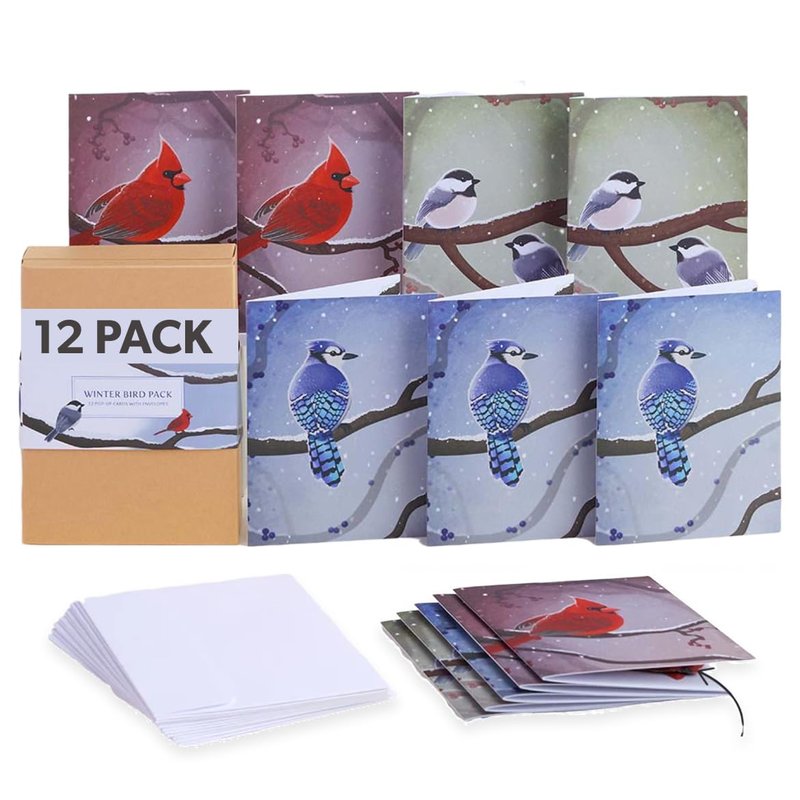 Lovepop Winter Bird Box Set (Assorted 12-Pack) Pop-Up Card for Her and Him - 3D Holiday Greeting Cards for Boys, Girls, Men, Women - 4.5" x 5.9" Paperpop Card - Envelope Included