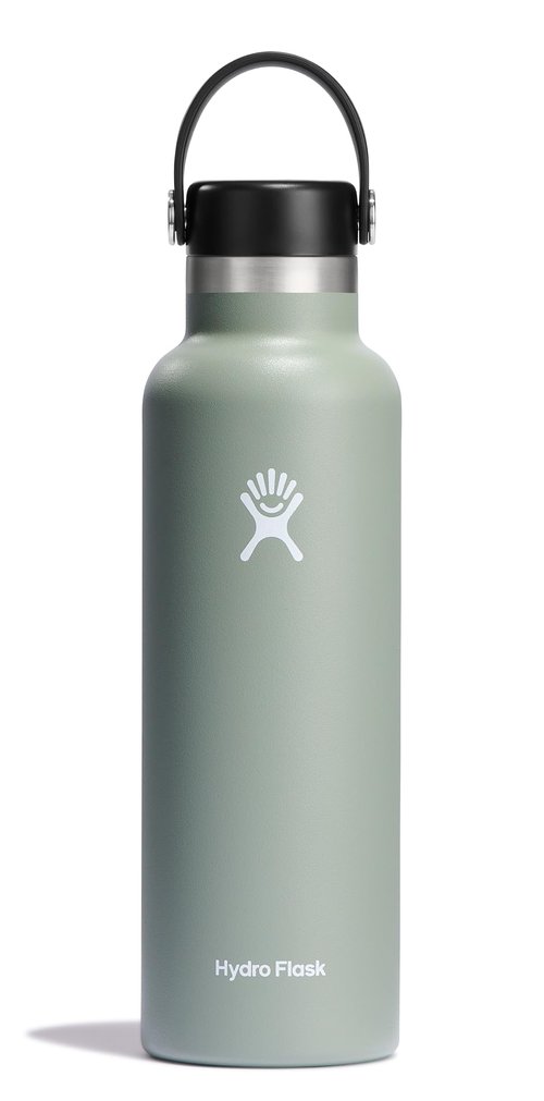 Hydro Flask Water Bottle - Insulated Stainless Steel - Non Spill, Leakproof in 21 Oz Agave Green