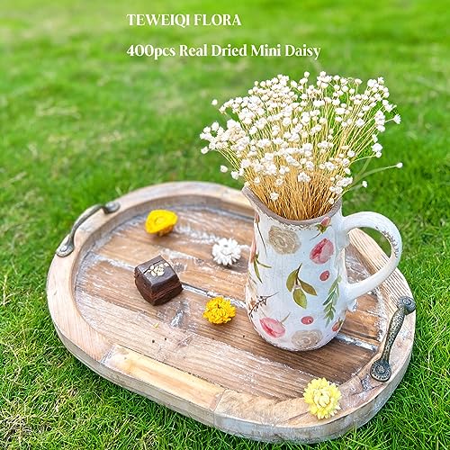 Natural Dried Mini Star Daisy Flowers - 200 Stems White Bouquet