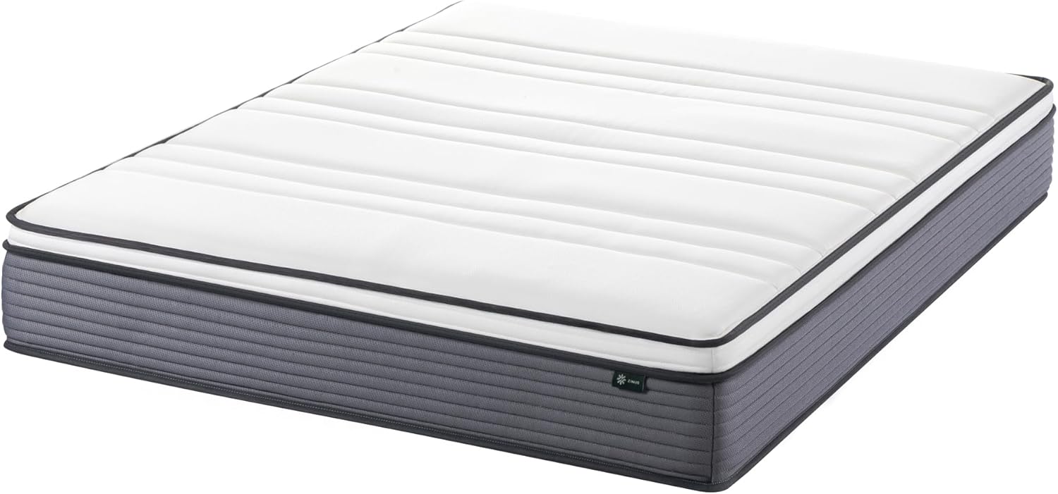 ZINUS 10 Inch True Support Hybrid Mattress - Queen Size | Fiberglass Free, Medium Feel, Motion Isolation