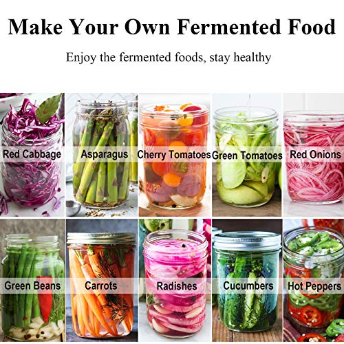 Fermentation Kit 6 Set with Stainless Steel Wide Mouth Lids and Airlocks