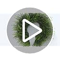 28-Inch Artificial Boxwood Wreath for Front Door, All-Season Greenery