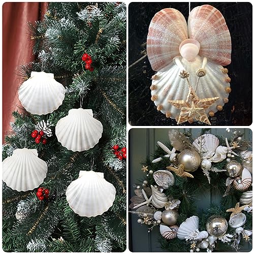 Large Natural Scallop Shells 4-5 Inch (10 Pack) - White Seashells for Crafts