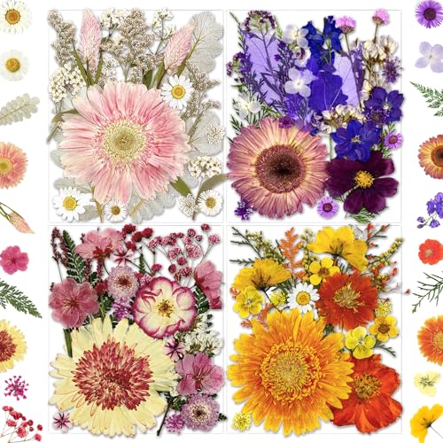 98 Pcs Real Natural Pressed Dried Flowers & Leaves for Resin Crafts