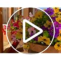 UV-Resistant Artificial Daisy Flowers with Eucalyptus Leaves - 12 Bundles