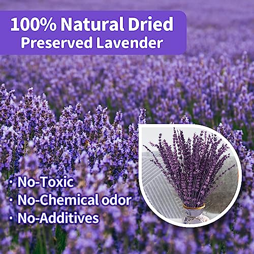 Preserved Lavender Flowers Bouquet - 15-17" Natural Dried Stems Decor