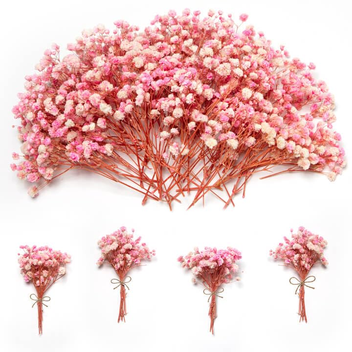 Mini Pink Dried Baby's Breath Flowers, 6-Inch Preserved Gypsophila (70 Stems)
