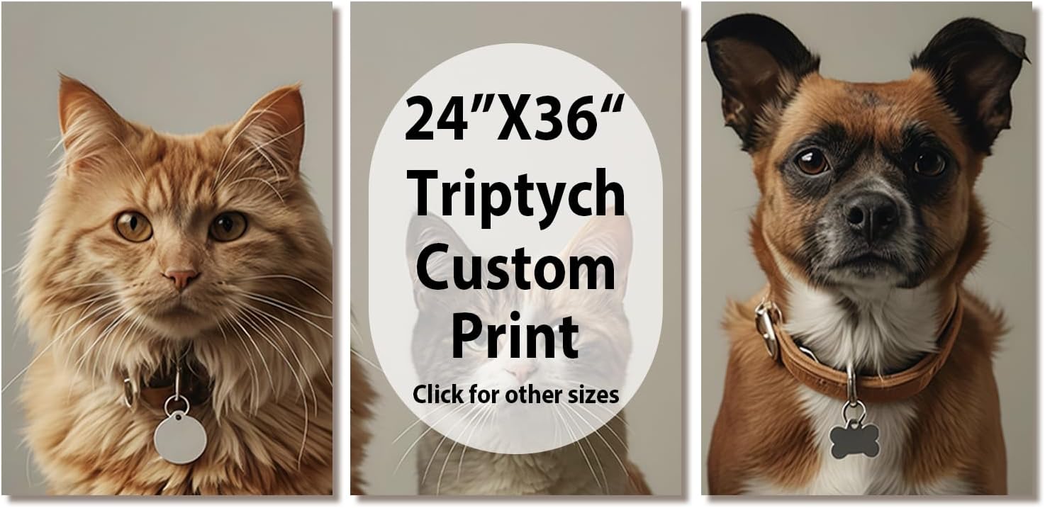 Skiennix Custom Canvas Prints - Personalized Triptych Wall Art | Unframed 24x36 Set of 3
