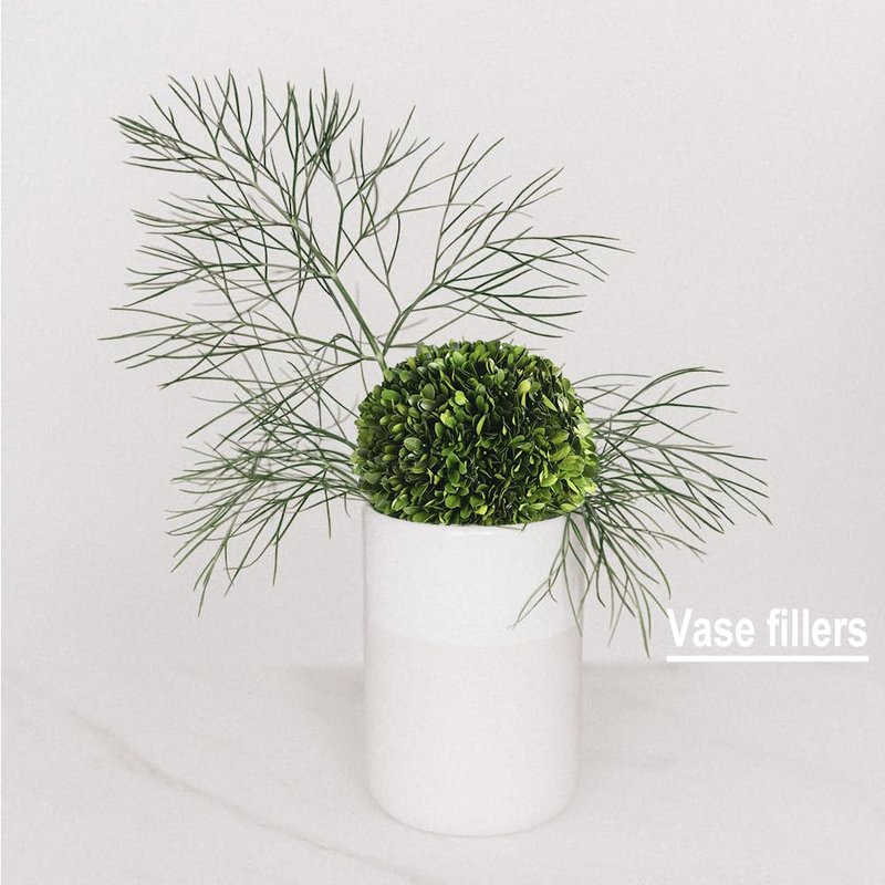 BOXWOOD WORLD Decorative Boxwood Balls for Bowls and Decorative Balls for Centerpiece Bowl Fillers Vase Fillers Home, Kitchen, Living Room Decor (8 inch)
