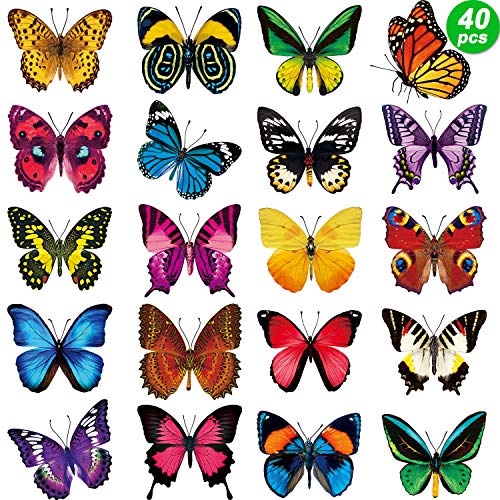 40 Butterfly Window Stickers - Bird Strike Prevention Clings