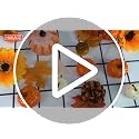 44-Piece Artificial Pumpkin and Maple Leaf Set for Fall Table Decor