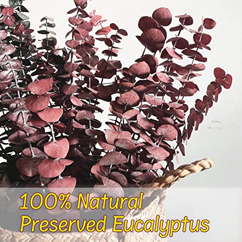 16 Pcs Preserved Red Eucalyptus Stems 17-Inch Real Dried Floral Branches