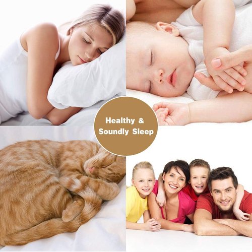 Elegant Decor 4-Piece Queen Bed Sheet Set - Luxury 300 GSM Microfiber | Deep Pockets, Wrinkle Resistant, White