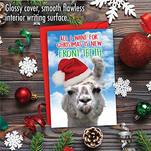 Llama Front Teeth Christmas Card - Humorous Holiday Greeting, 5x7