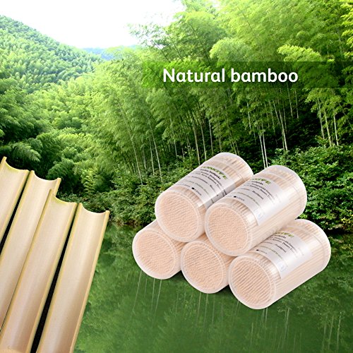 340 Pack Bamboo Toothpicks 3.5 Inch Long Food-Grade Skewers for Appetizers & Cocktails