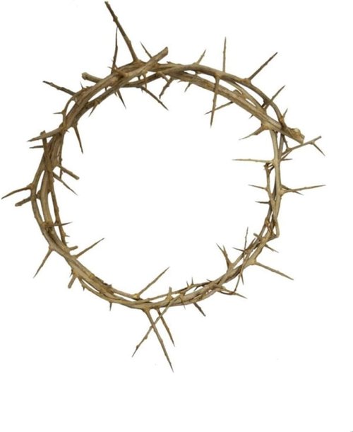 Bethlehem Gifts TM Life-Size Crown of Thorns Replica | Authentic Holy Land Design (4")