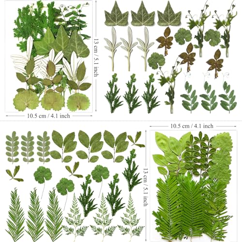 84 Pcs Natural Pressed Dried Leaves & Flowers for Resin Crafts & DIY