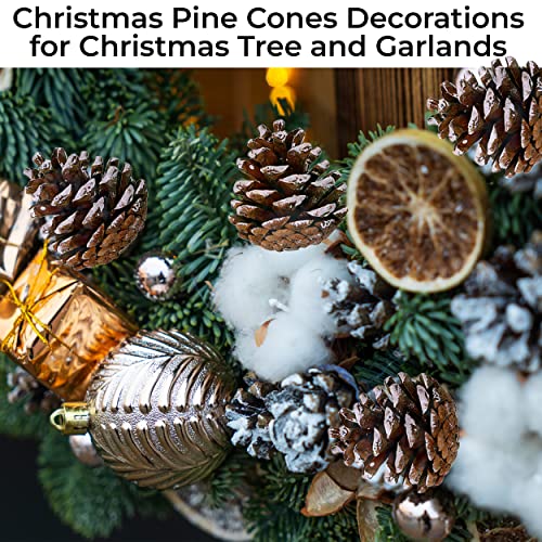 20 Pcs Snow Frosted Pine Cone Picks with Stems for Holiday Decor