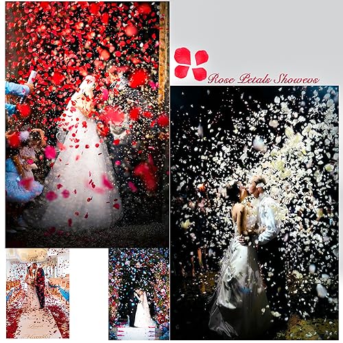 1000 Pcs Artificial Rose Petals for Romantic Nights, Weddings & Proposals