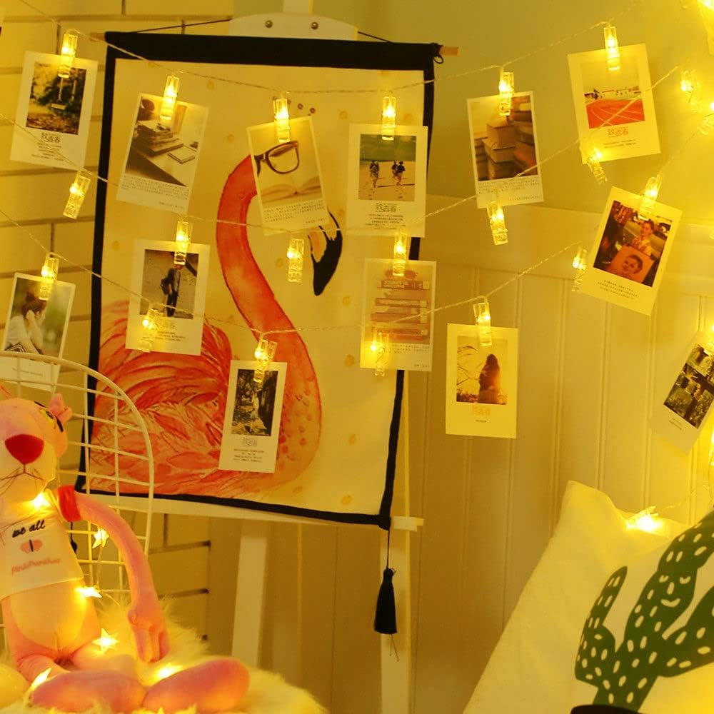 Skiennix LED Photo Clip String Lights - 40 Warm White Fairy Twinkle Lights for Photos & Artwork | 14 Feet