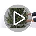 3ft Artificial Cedar Topiary Trees, Set of 2 Faux Pine Shrubs for Porch