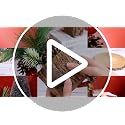 Solsew 3 Pcs 11 Inch Classic Christmas Tabletop Trees with Ornaments & Pine Cones