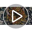 22-Inch Boho Farmhouse Fall Wreath with Wildflowers for Front Door