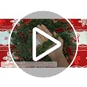 60Pcs Artificial Christmas Pine Branches & Red Berry Stems for Holiday Decor
