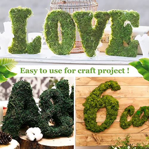Natural Dried Green Moss for Crafts, Fairy Gardens, and Potted Plants 1.3LB
