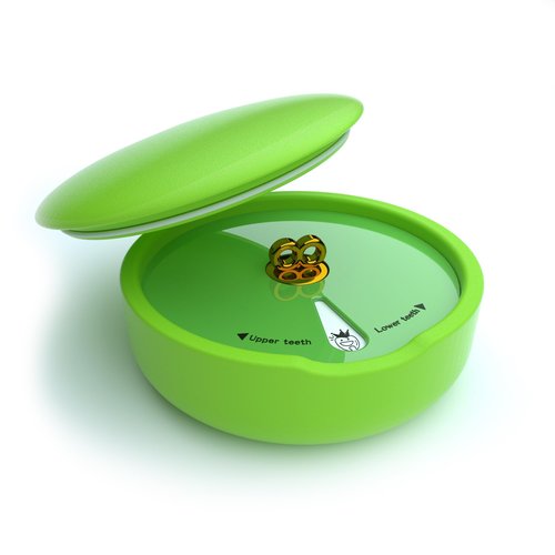 DDMBOX Modern Keepsake Box, Shell-Shaped Design, Waterproof, Sturdy, Flip Top, Green, For Storage
