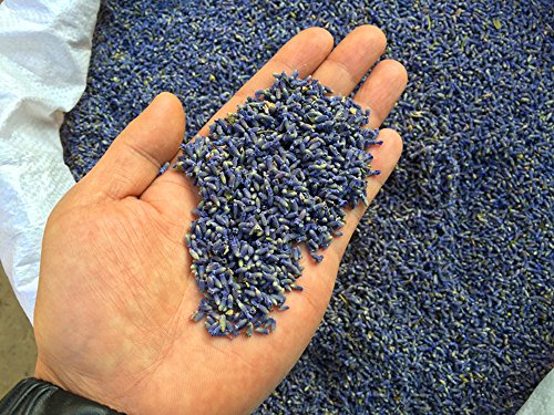 Natural Fragrant Dried Lavender Buds - Ultra Blue Grade (225g / 0.5 lb)
