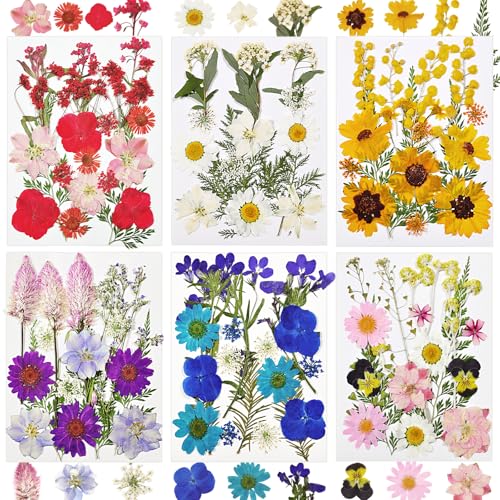 106pcs Natural Dried Pressed Flowers & Leaves for Resin Crafting & DIY
