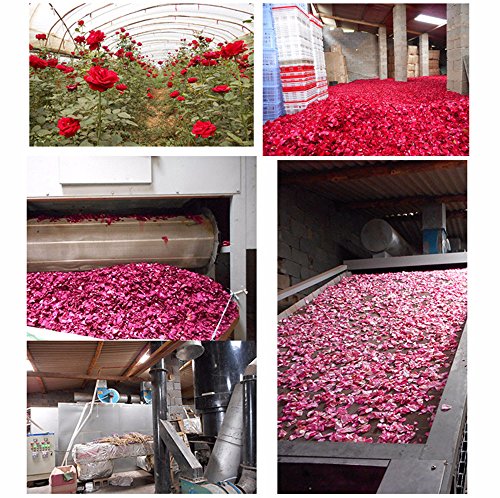 Natural Dried Red Rose Petals for Wedding Decor, Bath Soaks, and Crafting