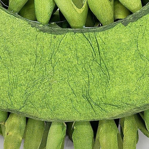 Galt International 18” Natural Woodchip Rose Wreath Green – Rustic Front Door Holiday Decor