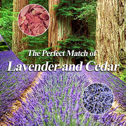 Aromatic Red Cedar and Lavender Sachets for Closets and Drawers, 24-Pack