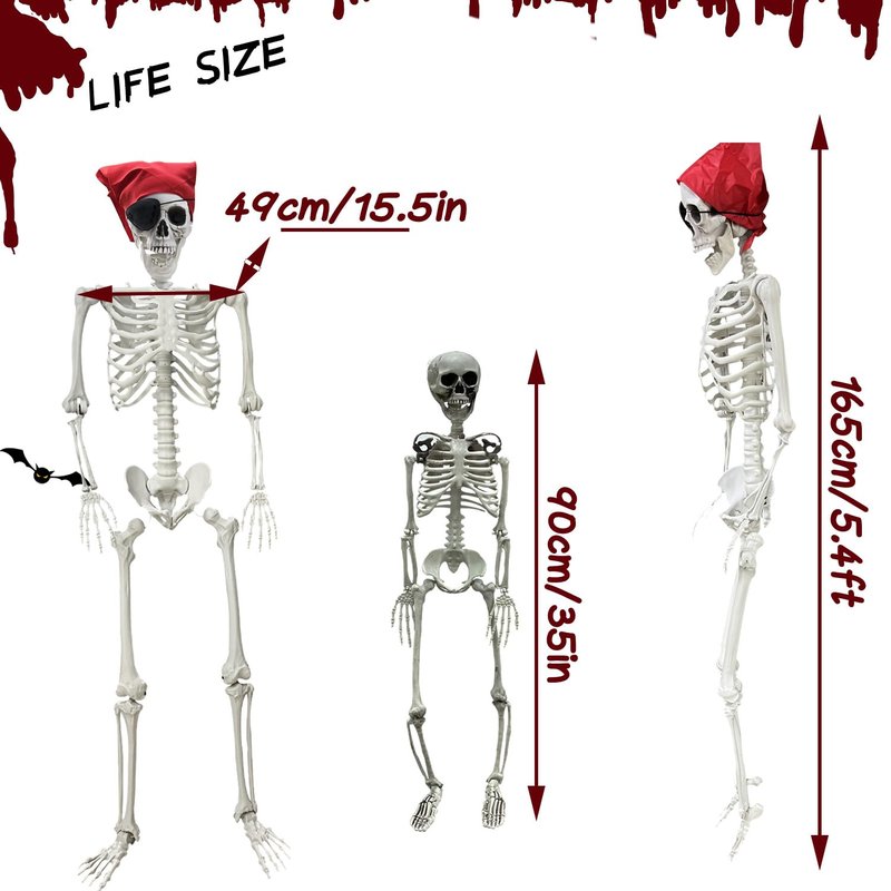 IDMOP 5.4ft/165cm Halloween Skeleton - Life Size Skeleton Full Body Realistic Human Bones with Posable Joints for Halloween Pose Skeleton Prop Decoration (5.4Ft&3Ft)